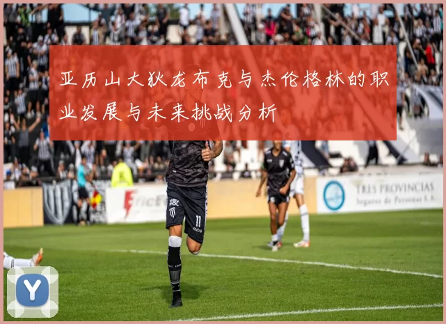 亚历山大狄龙布克与杰伦格林的职业发展与未来挑战分析