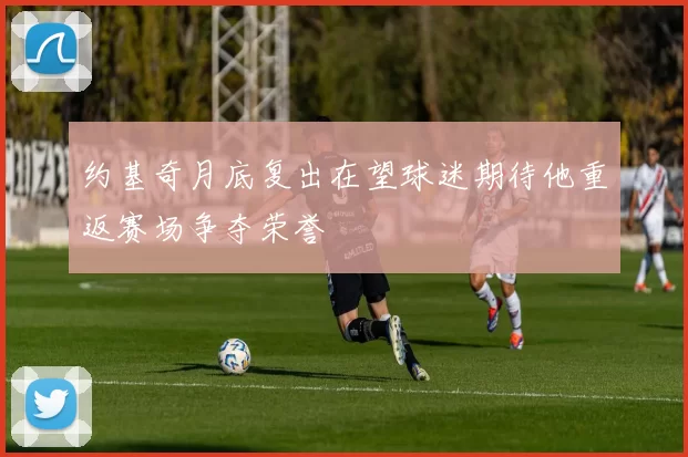 约基奇月底复出在望球迷期待他重返赛场争夺荣誉