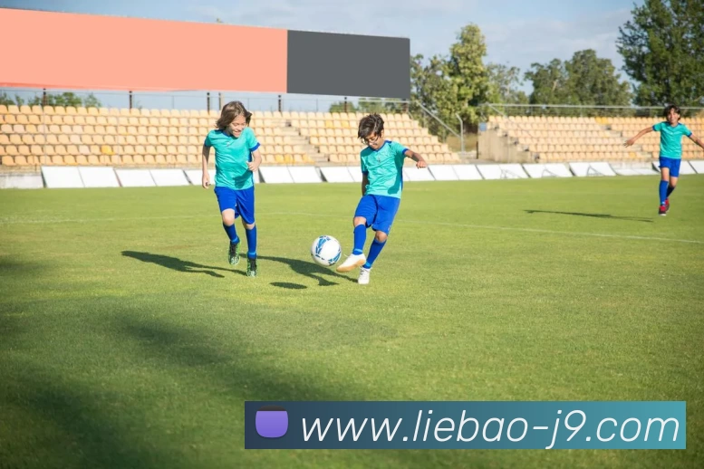 九游体育APP 封面图